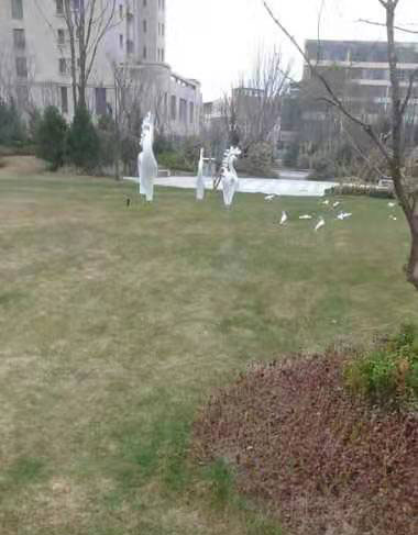 卫生保洁